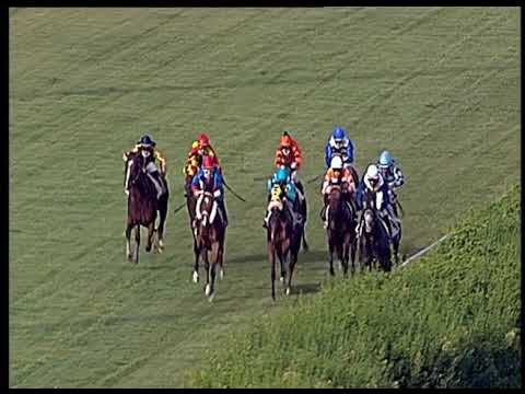 Galoppo 19/06/2020 - 4ª corsa