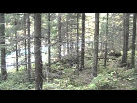 Pikku lenkille menossa