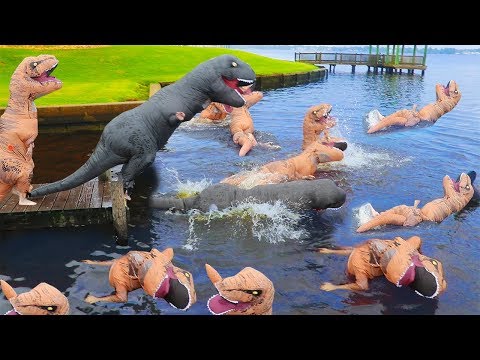 The Real Way Dinosaurs Went Extinct Video