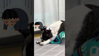 絶望するフレブル