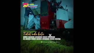 Download lagu story wa bugis mp3