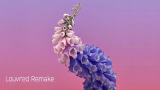 Flume - Pika (Louvred Remake)