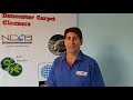 Will carpet cleaning remove pet odour