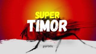 pyrotte - Super Timor (remix)