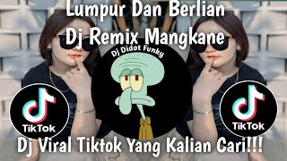 Download lagu DJ REMIX MANGKANE LUMPUR DAN BERLIAN VIRAL TIKTOK TERBARU mp3
