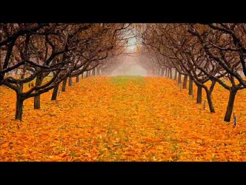 Surah Imran Ibrahim Jibreen Part 1