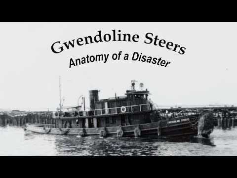 Gwendoline Steers: Anatomy of a Disaster