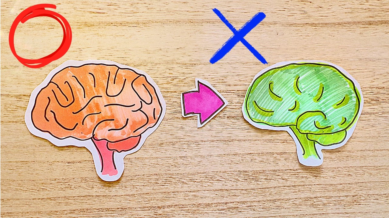 だらだらスマホを続けると脳では何が起きるのか？