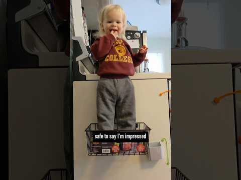 Video: Gator Magnetics Heavy Duty Magnetic Hooks for Shops, Garages, Sheds, Laundry Rooms & More video thumbnail