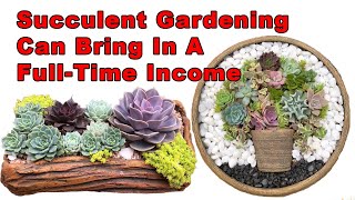 Succulent Gardening Can Bring In A Full-Time Income!