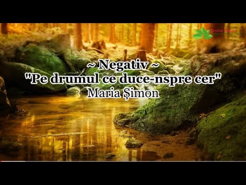 Negativ - Pe drumul ce duce-nspre cer - Maria Șimon [NOU 2022]