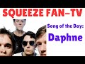Squeeze: 'Daphne' (Song Review)