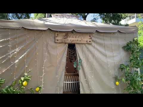 Nikoleta Psalti   Oneiropagida1642071022639