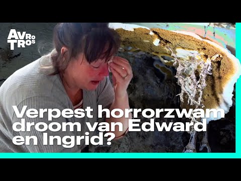 Bijna €1.000.000 kwijt aan VERBOUWING oud TREINSTATION | Ik Vertrek