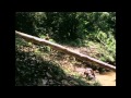 Watchers 3 Oscar Winning Death Scene