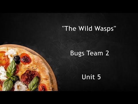 "The Wild Wasps" song, Bugs Team 2, unit 5.