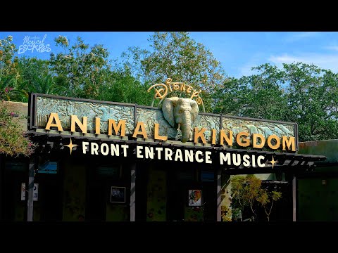 Animal Kingdom Entrance Music | Disney World Ambience | Relax, Study, Sleep