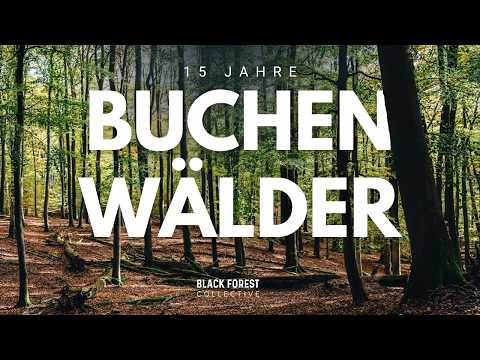 15 Jahre Weltnaturerbe Buchenwälder