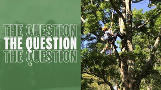 How can we protect plants from future threats? | The Question