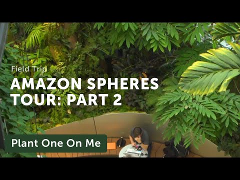 Amazon Spheres Tour: Part 2 — Ep 152