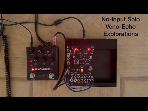 No-Input Explorations with Veno-Echo