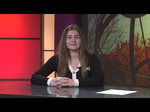 Miami Television News MTN Live Stream 9/20/23