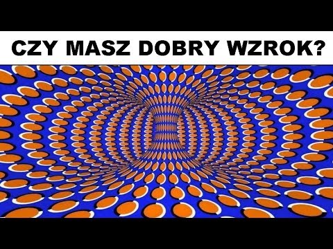 Kulturystyka ćwiczenia dla początkujących na zdjęciach Kulturystyka 2017 turniej