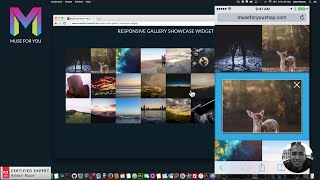 Responsive Image Gallery Showcase Widget | Adobe Muse CC | Muse For You