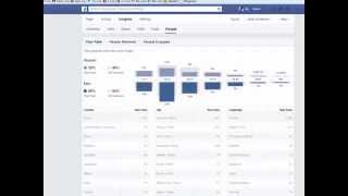 How To Remove 1700 Fake Facebook Likes With Software