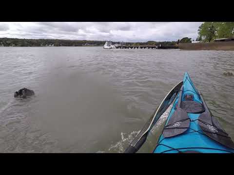 Kayak surfing the pilings in Grand Marais Harbor