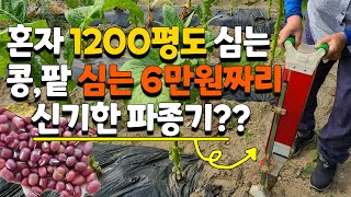 콩, 팥, 옥수수, 땅콩 다목적 신기한 파종기로 쉽고 간편하게 심어보세요 - bean corn planter