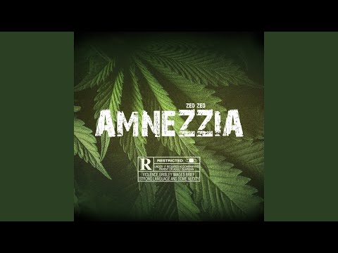 Amnezzia - Zedzed