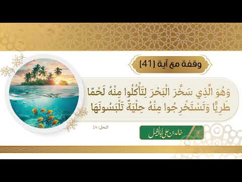 41/ وقفة مع آية || خالد بن علي أبا الخيل