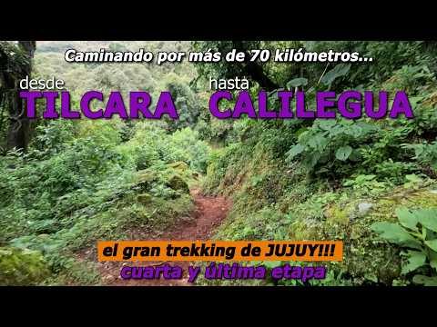Trekking Tilcara Calilegua - Etapa 4 🟣 desde San Lucas hasta Peña Alta 🟣 70 km sin guía en solitario