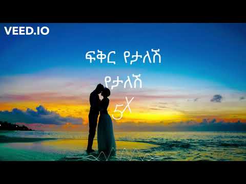 Zemas - Fikir Yetalesh  ፍቅር የታለሽ - Lyrics Music [HENI entertainment]