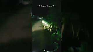 Download lagu Primadona Desa | Lagu Rhoma Irama #shorts mp3