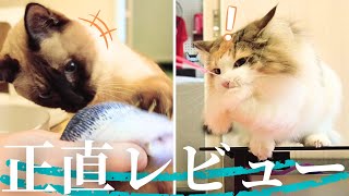 保護猫＆北欧猫に約20個のおもちゃを断捨離して頂きます【保護猫/シャム猫/シャムミックス＆北欧猫/ノルウェージャンフォレストキャット】#cat #japanesecat