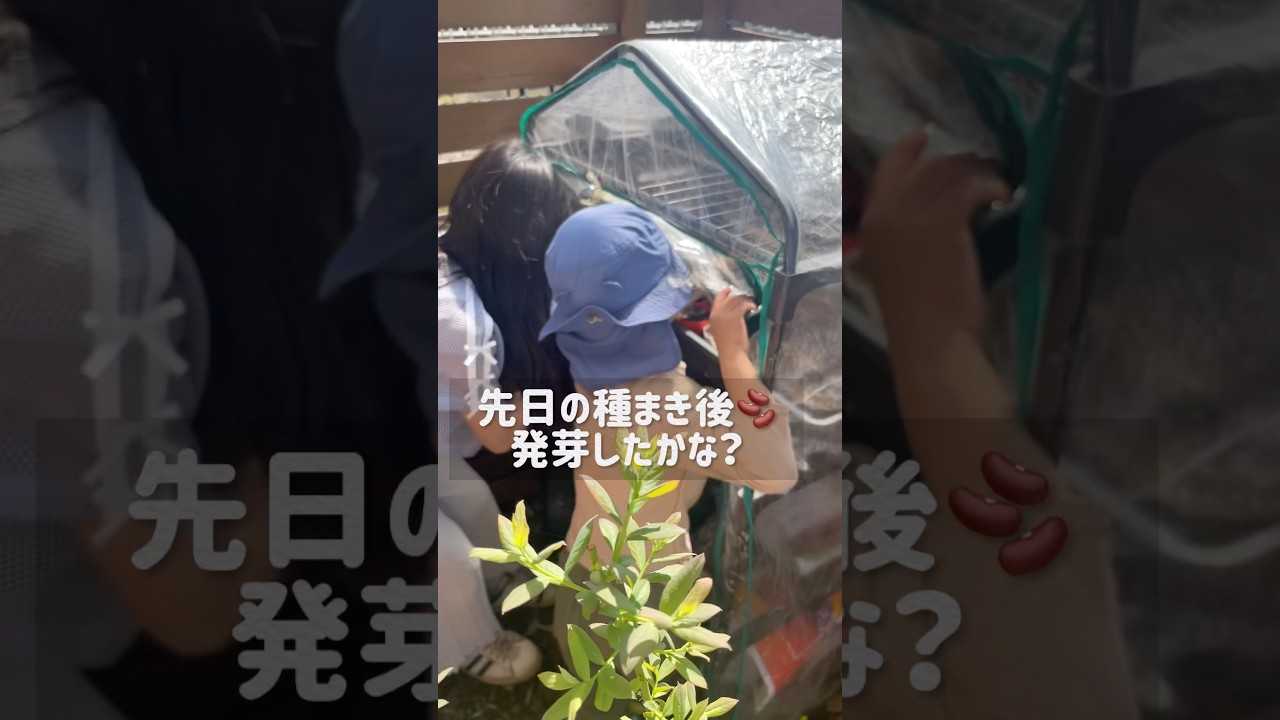 【確認しなきゃ👀】種まきの後🫘