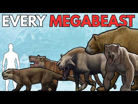 The Megabeasts | The Biggest Mammalian Land Carnivores Ever