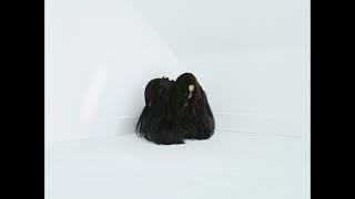 Chelsea Wolfe - Hiss Spun (Full Album)