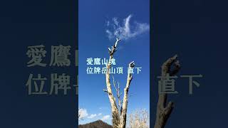 愛鷹山塊と駿河湾と私