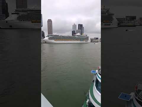 Thumbnail for Independence of the Seas #rotterdam #cruise #holiday