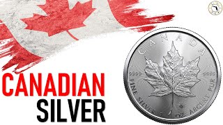 20 Ounces of Silver Canadian Maple Leaf Coins | Easy to Sell, Beautiful and Cheaper to Stack!