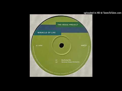 The Reese Project | Miracle Of Life (Terrence Parker 313 Remix)
