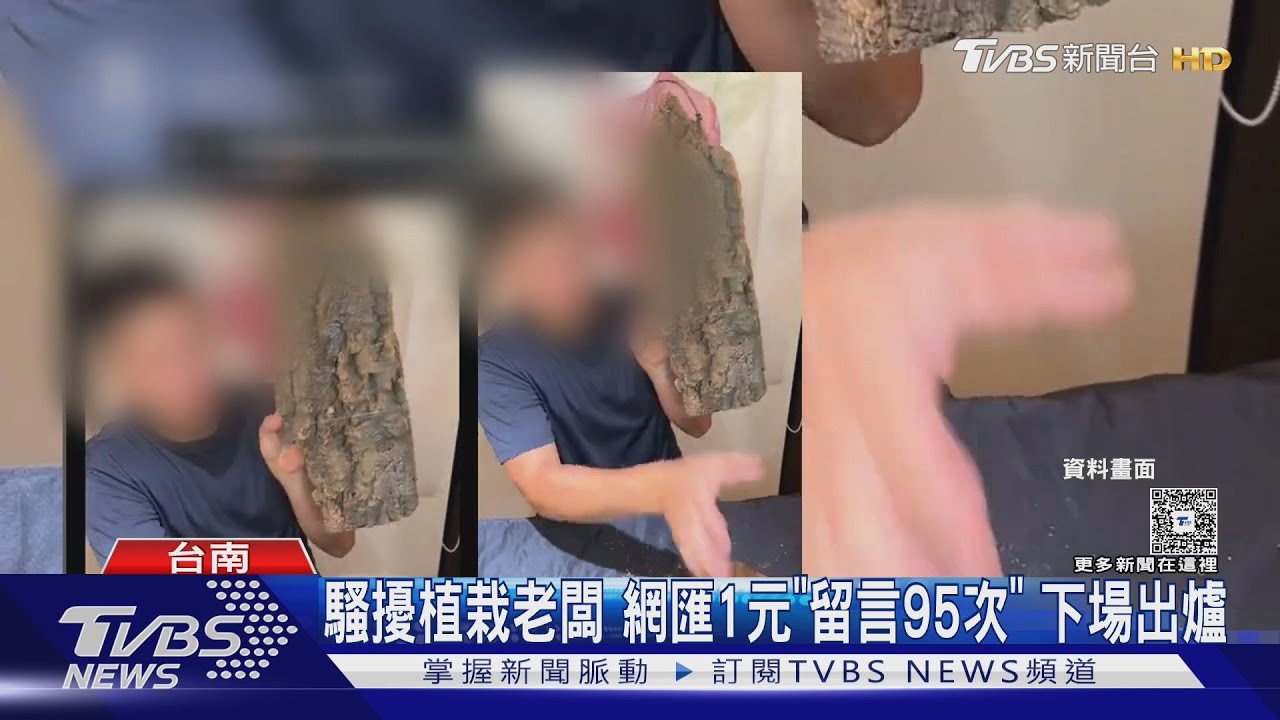 女粉絲騷擾植栽男老闆　網匯1元「留言95次」　下場出爐