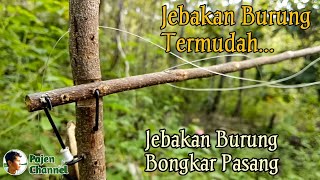 Download lagu Bird traps from wooden branches - the easiest bird traps mp3