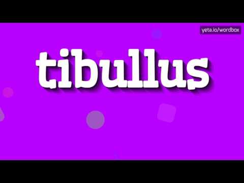 TIBULLUS - HOW TO PRONOUNCE IT!?