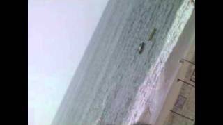 Gustavo Cerati-  Paisaje Porcelana (+bien)