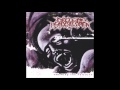 Circle Of Dead Children Starving The Vultures 1999 Full Album HQ Deathgrind