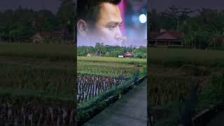 Download lagu story wa luka hati luka diri #kebumen #kampunghalaman #lukahatilukadiri #storywa mp3